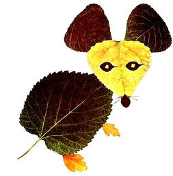 【招募令】小記者第六場(chǎng)主題活動(dòng)“遇見(jiàn)秋天”系列之“樹(shù)葉粘貼”等你挑戰(zhàn)！